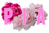 pianaera love fashion boutique piaboutique Sticker