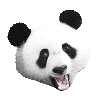 Ruoka Laku Sticker by Panda