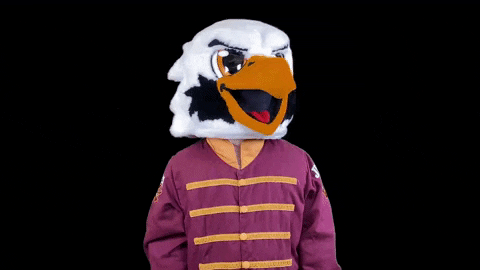 College Mascot GIF by SUNYJefferson