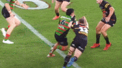 South Sydney Rabbitohs GIF