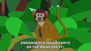 monkey jungle GIF by South Park 