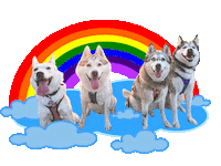 Happy Dog Sticker by Tales&Tails