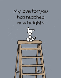 I Love You Dogs GIF by Chippy the Dog