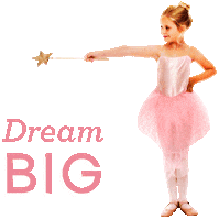 Ballet Dream Big Sticker by Tutu School