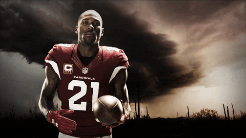 GIF by azcardinals