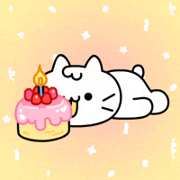 Birthday Cake Cat GIF