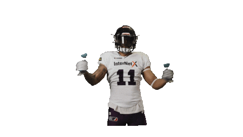 American Football Sticker by Frankfurt Galaxy