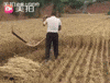 perfect loops harvest GIF