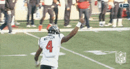 houston texans football GIF by NFL