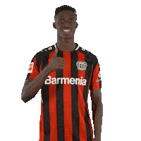 I Like Yes Sticker by Bayer 04 Leverkusen