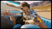 Katastro reggae alternative sucker fearandloathing GIF