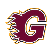 ice hockey flames Sticker by Elite Ice Hockey League