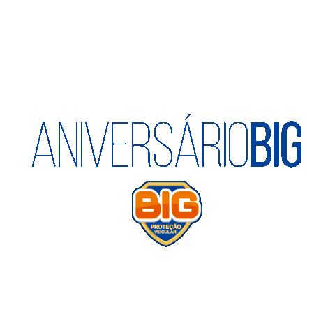 Big Protecão Sticker by BIG PROTEÇÃO VEÍCULAR