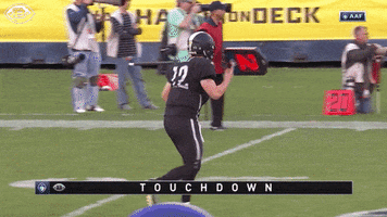 excited alliance of american football GIF by Birmingham Iron