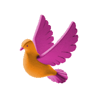 Peace Naistenpäivä Sticker by Naisten Pankki