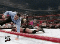 shane mcmahon wrestling GIF by WWE