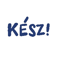 Vizsga Kesz Sticker
