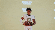 Georgia Tech Football Sport GIF by Georgia Tech Yellow Jackets