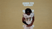 Georgia Tech Football Sport GIF by Georgia Tech Yellow Jackets