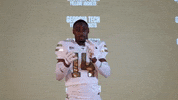 Georgia Tech Football Sport GIF by Georgia Tech Yellow Jackets