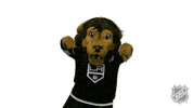 Ice Hockey No GIF by NHL
