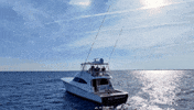 Viking Gulfstream GIF by GEMLUX