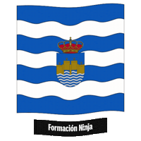 Castilla Y Leon Flag Sticker by Formación Ninja