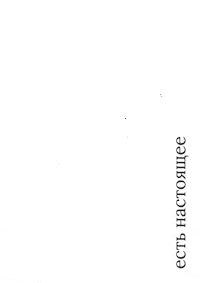 Ytrewq GIF by Bushe Bakery