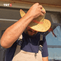 Summer Hello GIF by TRT