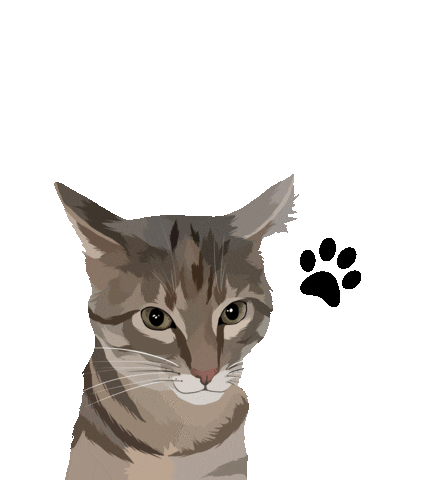 Cat Adopt Sticker by Watertown Humane Society