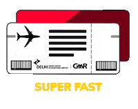 delhi_airport flysafe fly safe delhi airport igi airport Sticker
