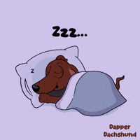 Sleepy Fun GIF by VeeFriends