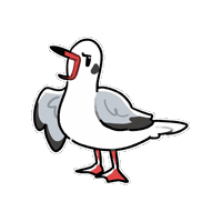Firuo_drawingbirds gull 海鷗 black-headed gull chroicocephalus ridibundus Sticker
