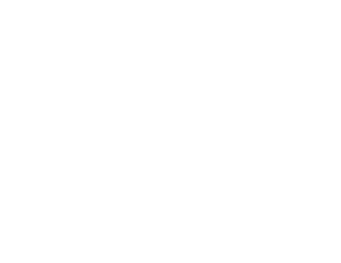 25 Years Anniversary Sticker by kalahariresorts