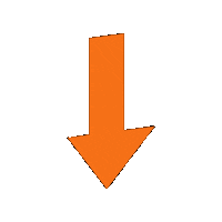 Arrow Orange Sticker by Radentscheid Bayern