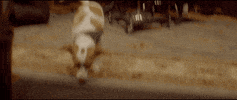Recording Sub Pop GIF by Sub Pop Records