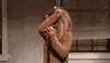 ariana grande what GIF by Saturday Night Live
