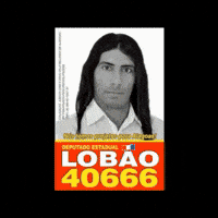 40666 GIF