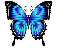 Butterfly Borboleta Azul Sticker