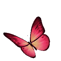 brunafernandacriativa butterfly rosa borboleta bruna fernanda criativa Sticker