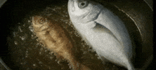Bigger Fish To Fry GIF