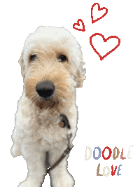 Dog Love Sticker by hello matze illustrations