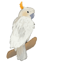 scoutdandelion happy animal bird tropical Sticker