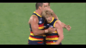 afl celebrate GIF by Adelaide Crows
