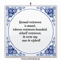 Humor Wijsheid GIF by Tegelspreuken.nl