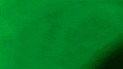 buurkracht samen buren buurkracht GIF