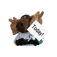 Renison Uc Sticker by Renison University College