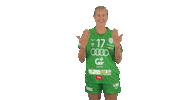 Handball Greenfamily Sticker by ETO