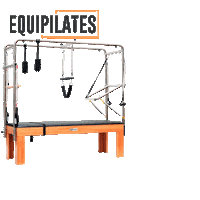 EquipilatesBrasil pilates pilates equipment aparelhos de pilates equipilates Sticker