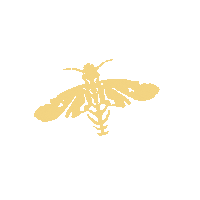 Halloween Fly Sticker by The Dead South
